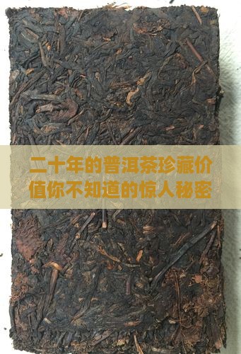 二十年的普洱茶珍藏价值