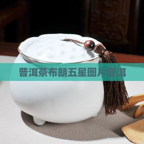 普洱茶布郎五星
