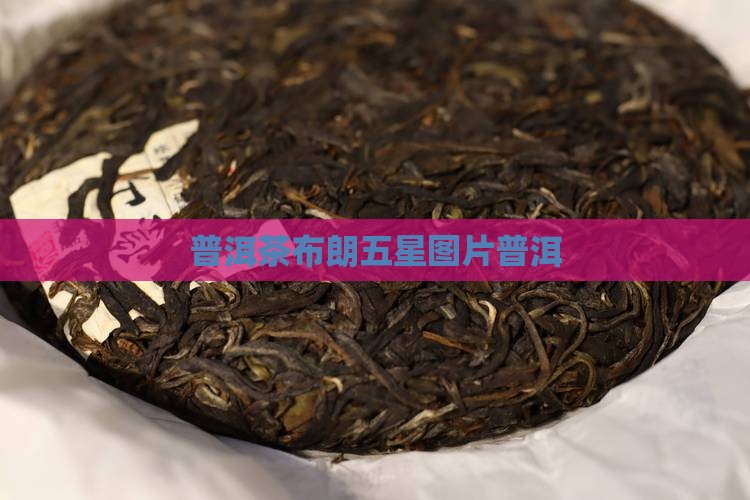 普洱茶布郎五星