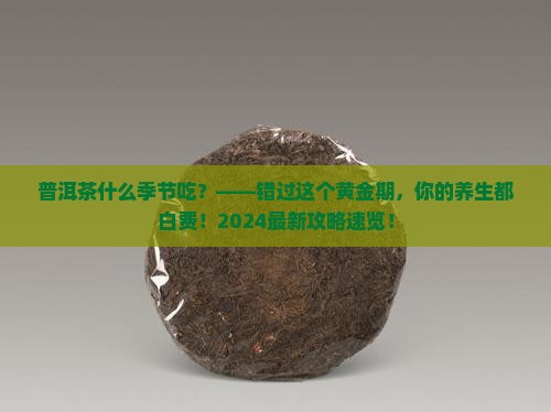 普洱茶什么季节吃