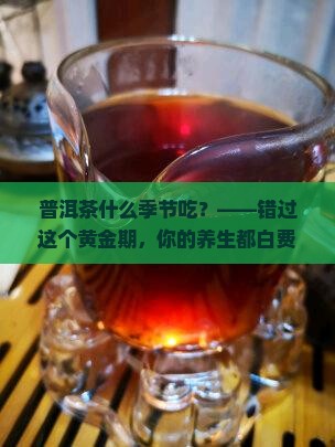 普洱茶什么季节吃