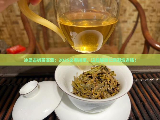 冰岛古树茶百度百科
