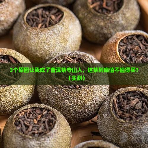 普洱茶守山人是什么茶