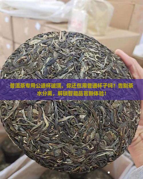 普洱茶专用公道杯玻璃