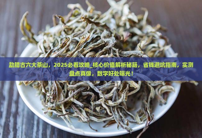 勐腊古六大茶山 勐腊古六大茶山