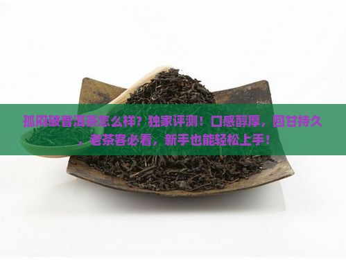 孤闷破普洱茶怎么样