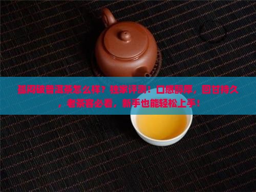 孤闷破普洱茶怎么样