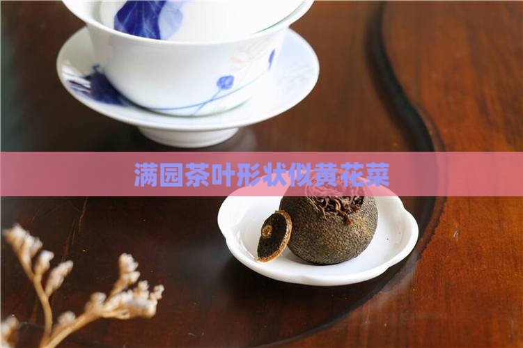 满园茶叶形状向黄花菜