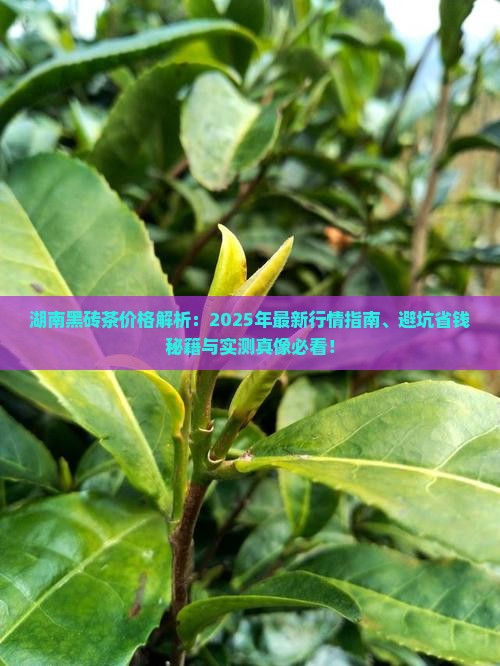 湖南黑砖茶价格
