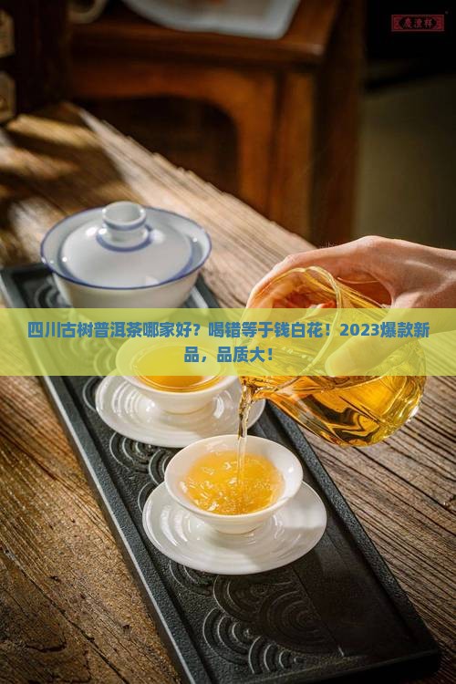 四川古树普洱茶哪家好
