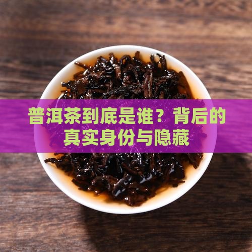 普洱茶门徒是什么