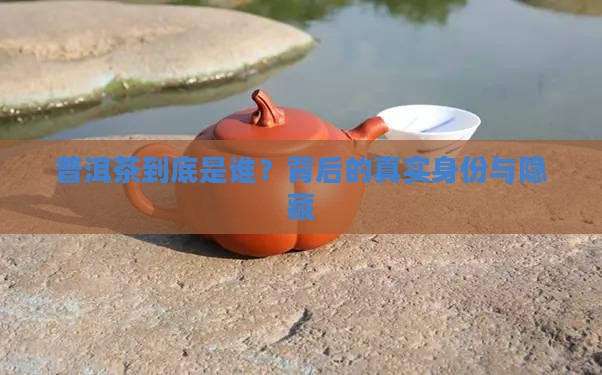 普洱茶门徒是什么
