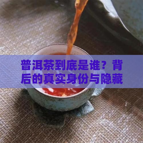 普洱茶门徒是什么