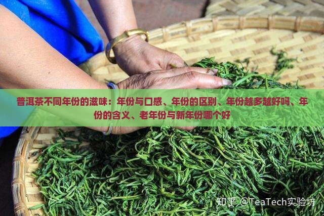 普洱茶不同年份的滋味