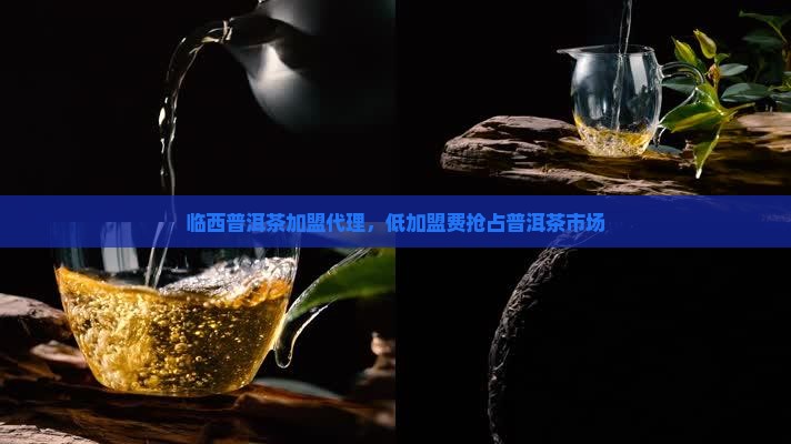 临西普洱茶加盟