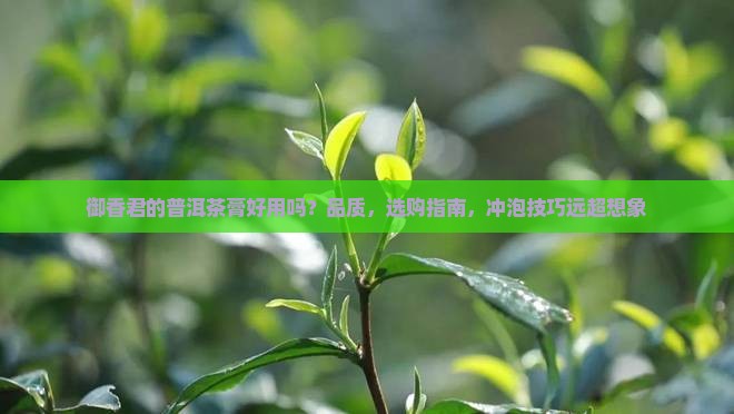 御香君的普洱茶膏好用吗