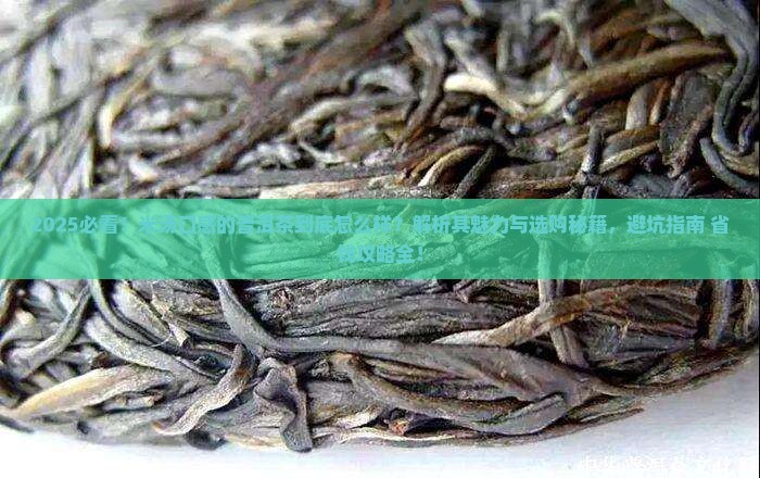 米汤口感的普洱茶怎么样