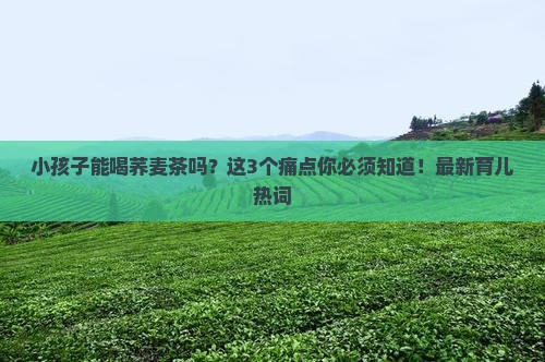 小孩子能喝荞麦茶吗
