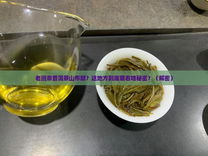 老班章普洱茶山布朗
