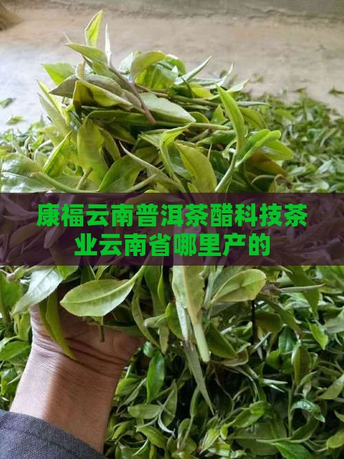 氼康普洱茶醋是哪里产的