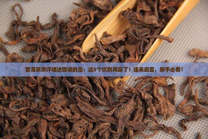 普洱茶测评描述错误的是