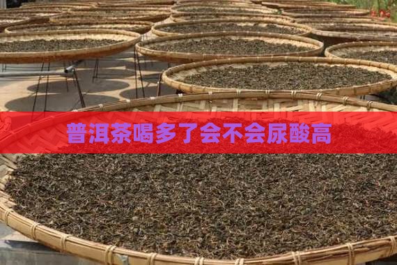 普洱茶喝多了会不会尿酸高