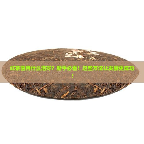 红茶菌用什么泡好