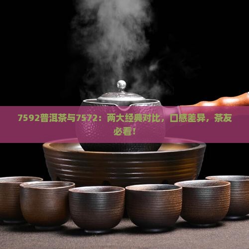 7592普洱茶与7572