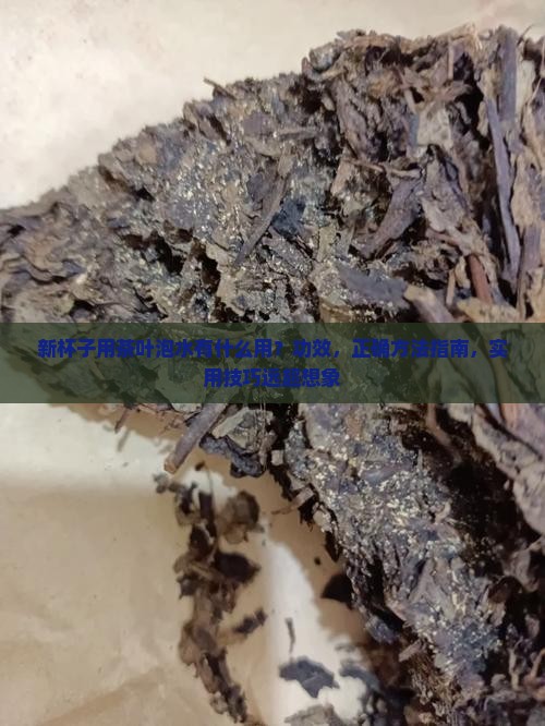 新杯子用茶叶泡水有什么用