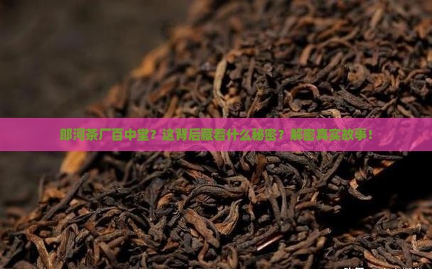 郎河茶厂百中堂