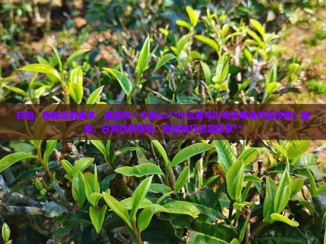 什么茶可以每天喝没有副作用