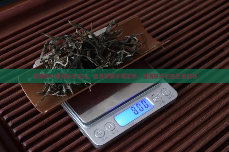 普洱茶中普洱是地名么