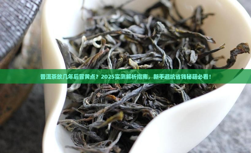 普洱茶放几年后有黄点