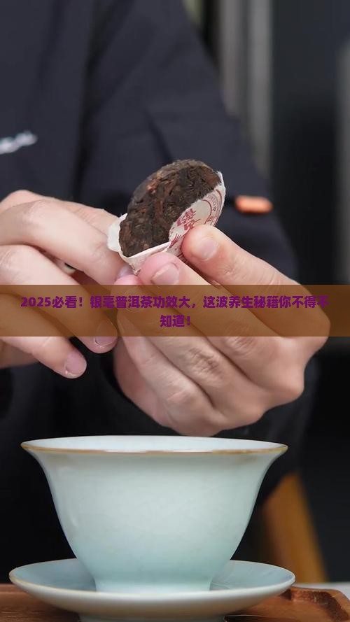 银毫普洱茶的功效与作用