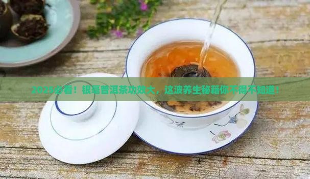 银毫普洱茶的功效与作用