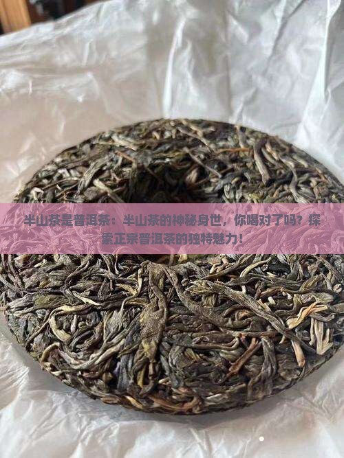 半山茶是普洱茶