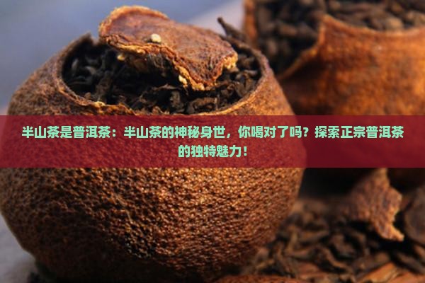 半山茶是普洱茶