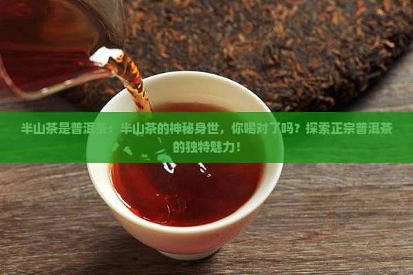 半山茶是普洱茶