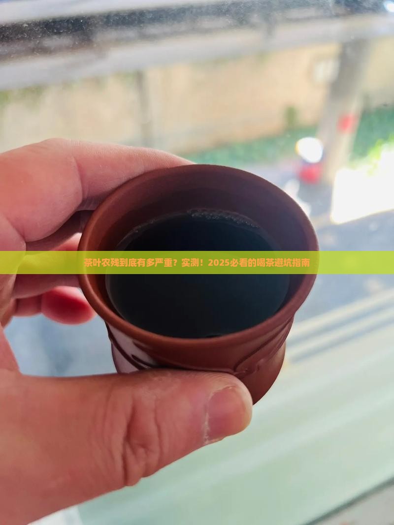 茶叶农残快速检测简报