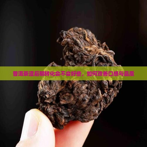 普洱茶涩后期转化会不会好些