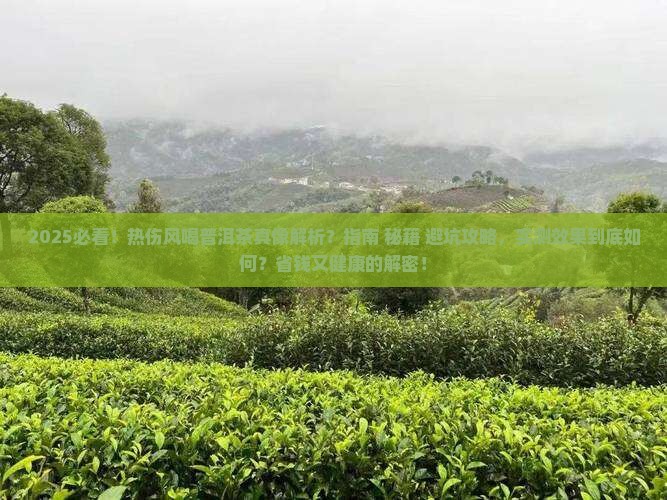 热伤风和普洱茶