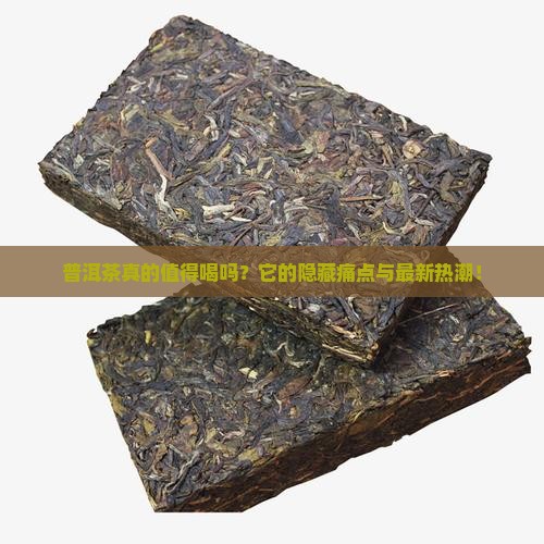 茶叶种类普洱茶