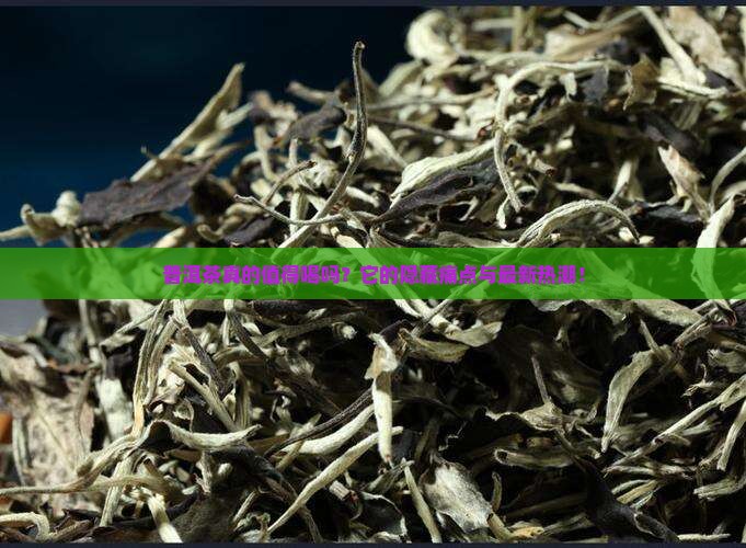 茶叶种类普洱茶