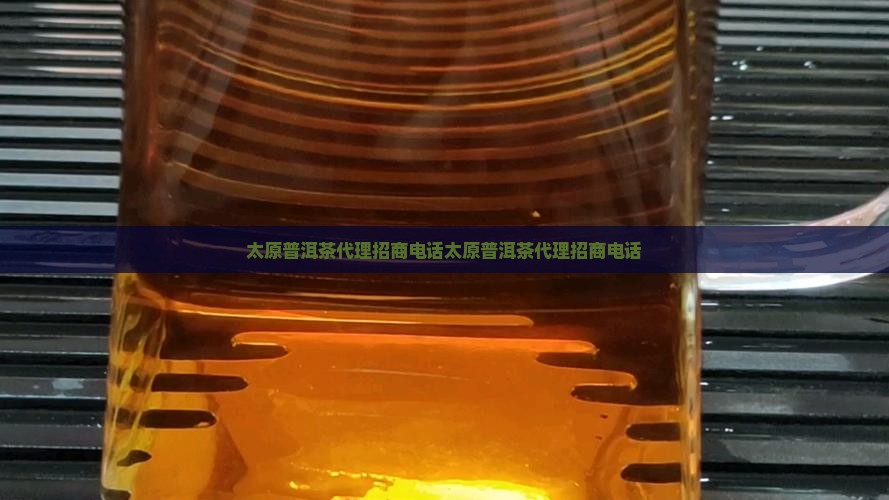 太原普洱茶代理招商电话