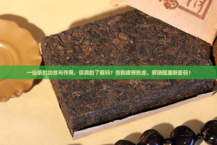 一仙茶的功效与作用