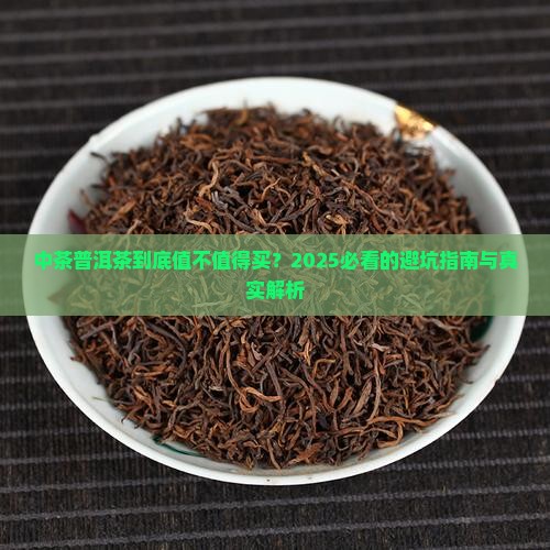 中茶普洱茶详解