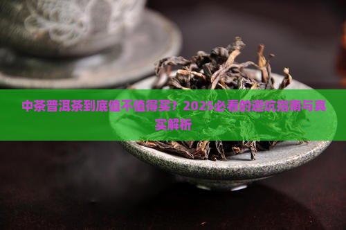 中茶普洱茶详解