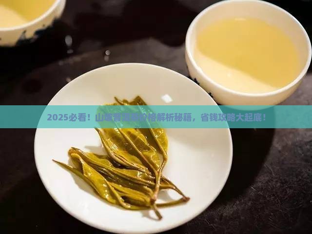 山坡普洱茶价格查询表最新