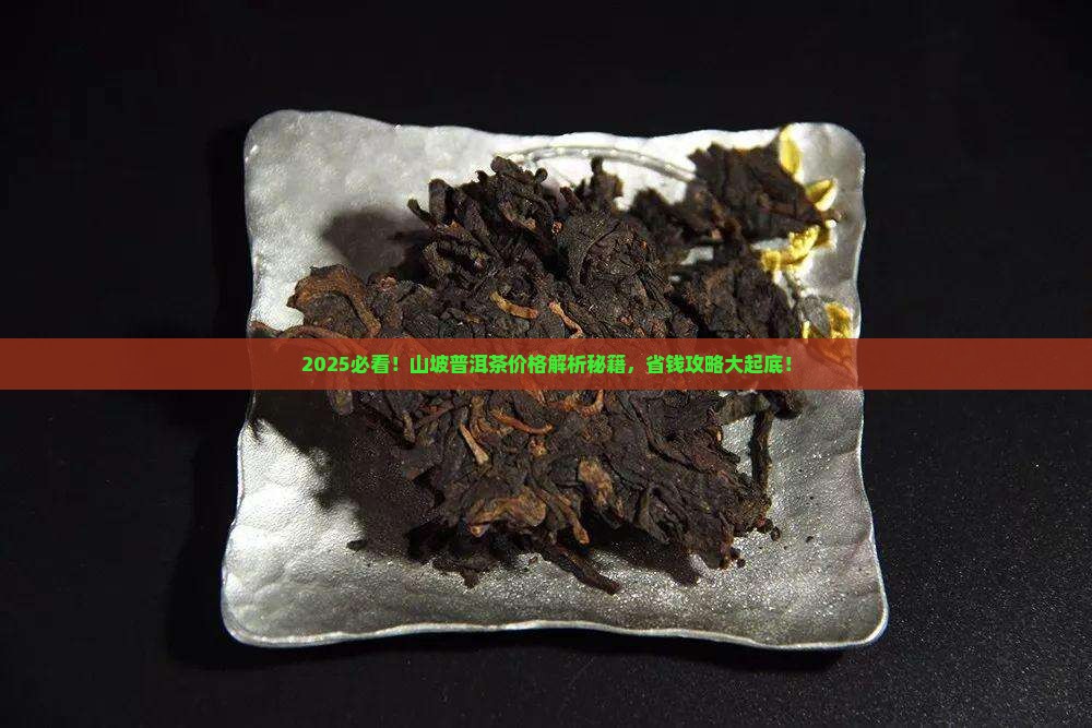 山坡普洱茶价格查询表最新