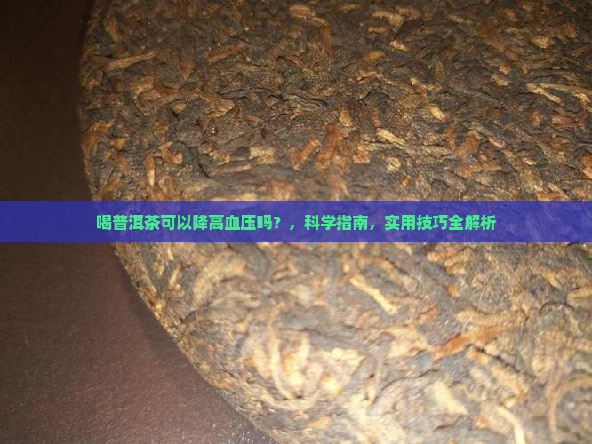 喝普洱茶可以降高血压吗
